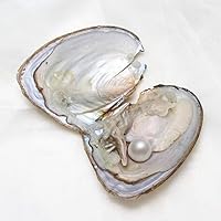 Vista 4 de XUDREZ Perlas de ostra natural, 50 unidades/lote, ostras monstruosas con perlas en el interior, a granel real en ostras, perlas ovaladas de agua