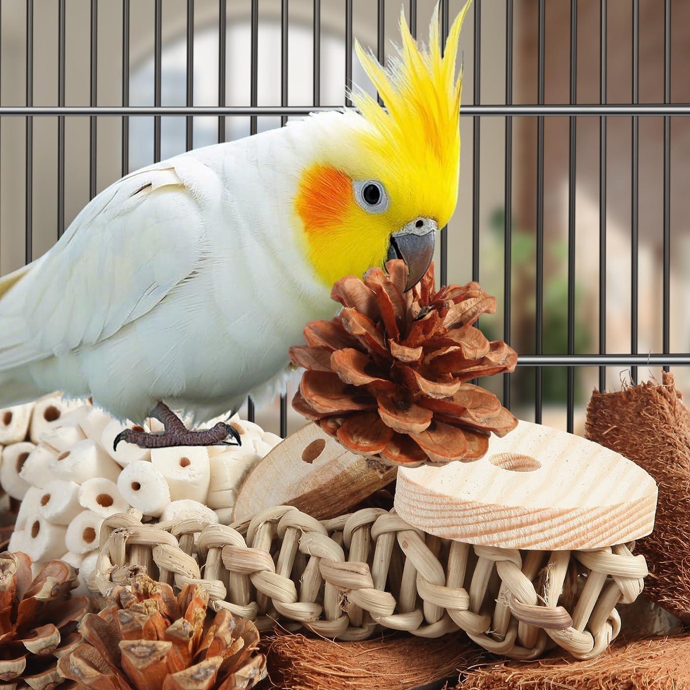 Kyouki Vogelspielzeug, Papageienspielzeug, natürliches Vogelfutterkasten, Fußspielzeug für Sittiche, Nymphensittiche, Sittiche, Liebesvögel und andere kleine bis mittelgroße Vögel (groß)