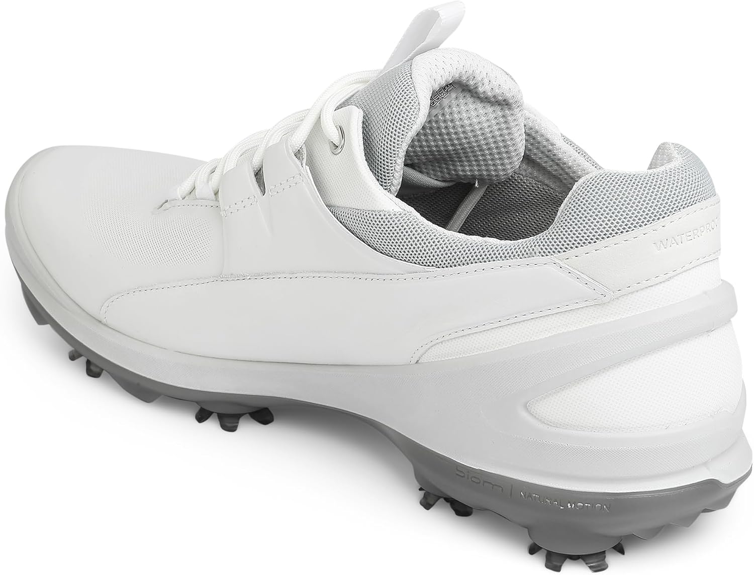 ECCO Men's Biom Tour Waterproof