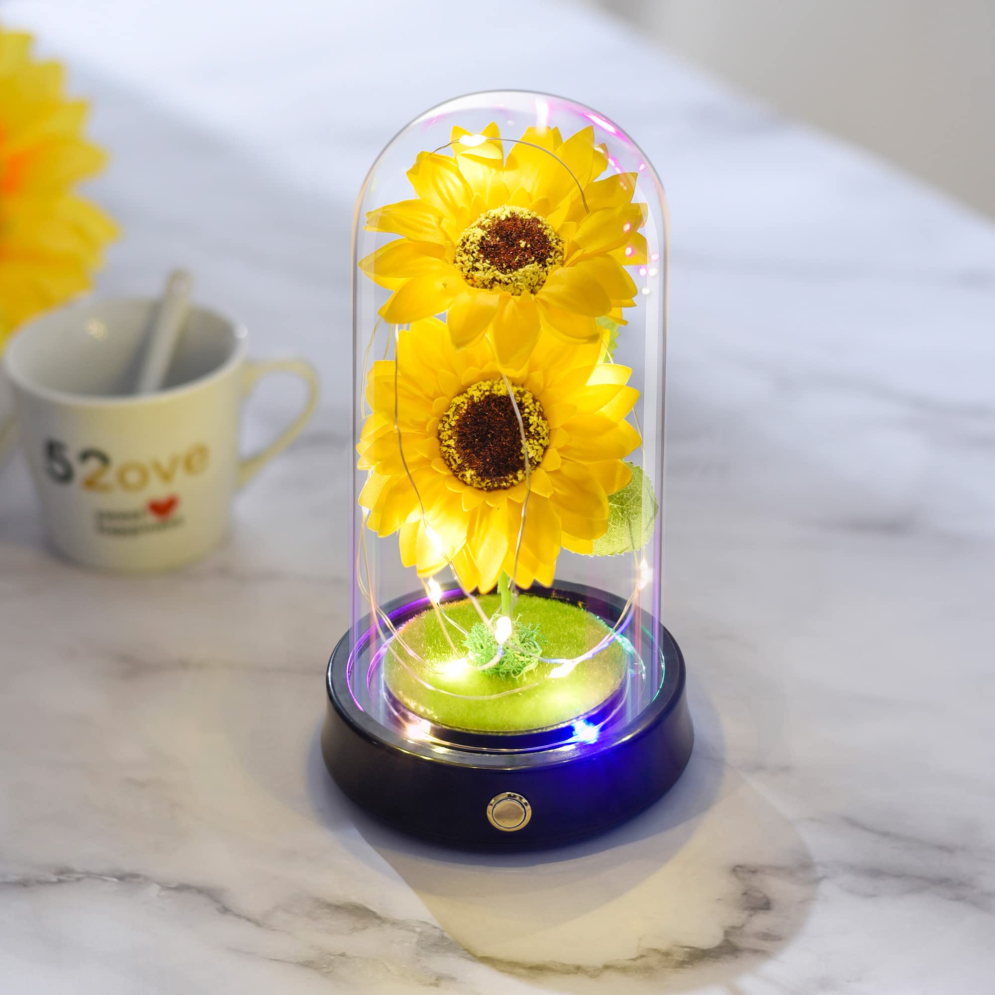 Fasola Girasole Eterno In Cupola Di Vetro Con Luci LED - Regalo Romantico Per Festa Della Mamma, Compleanno E Anniversario