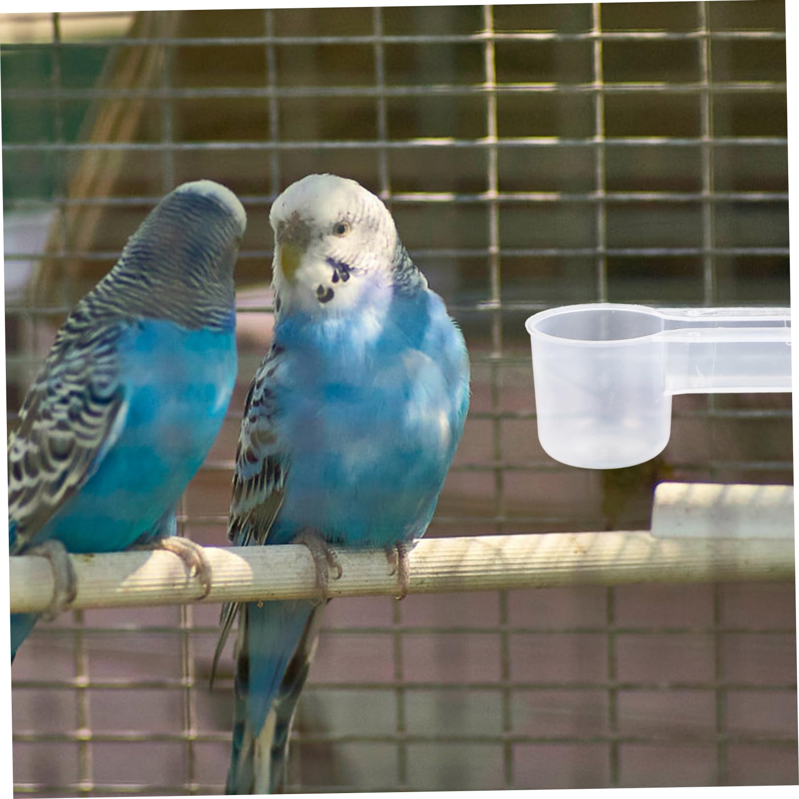 TOYANDONA 10pezzi Bevitoio Per Pappagalli e Piccioni Ciotola Per Uccelli in Plastica Abbeveratoio Automatico Facile Da Pulire Forniture Per Alimentazione Animali Domestici