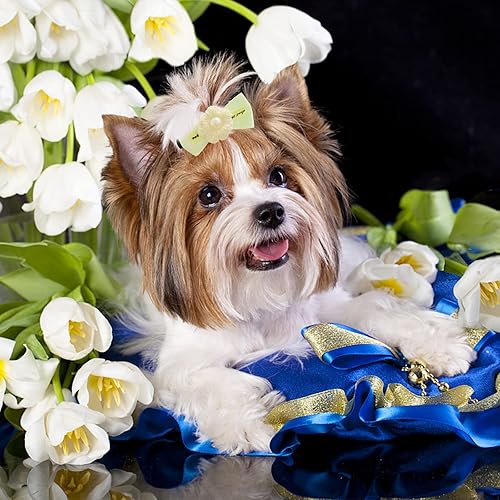 Miniatura 4 de DORUI Arcos para perro 70 piezas35 pares de lazos para el pelo de cachorros Yorkie para perros pequeños lazos para el cabello hechos a mano bonitos