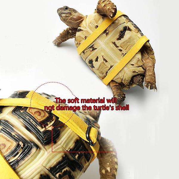 Laisse et harnais réglables pour tortue de petite, moyenne et grande taille (jaune) - 4