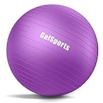 GalSports Anti-Burst Slip Resistant Stability Ball - Swiss Ball for Home Gym & Physical Therapy (Purple, L(26ines/65cm))