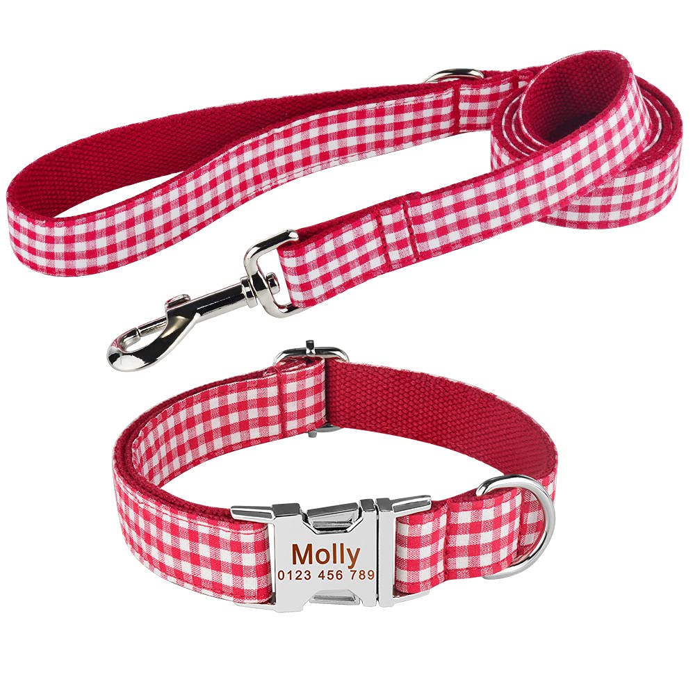 Halsband Set Hundeleine Benutzerdefinierte Hundehalsbänder Nylon Personalisierte Hundemarke Halsband Blei für kleine mittelgroße Hunde-Blue_Set_L