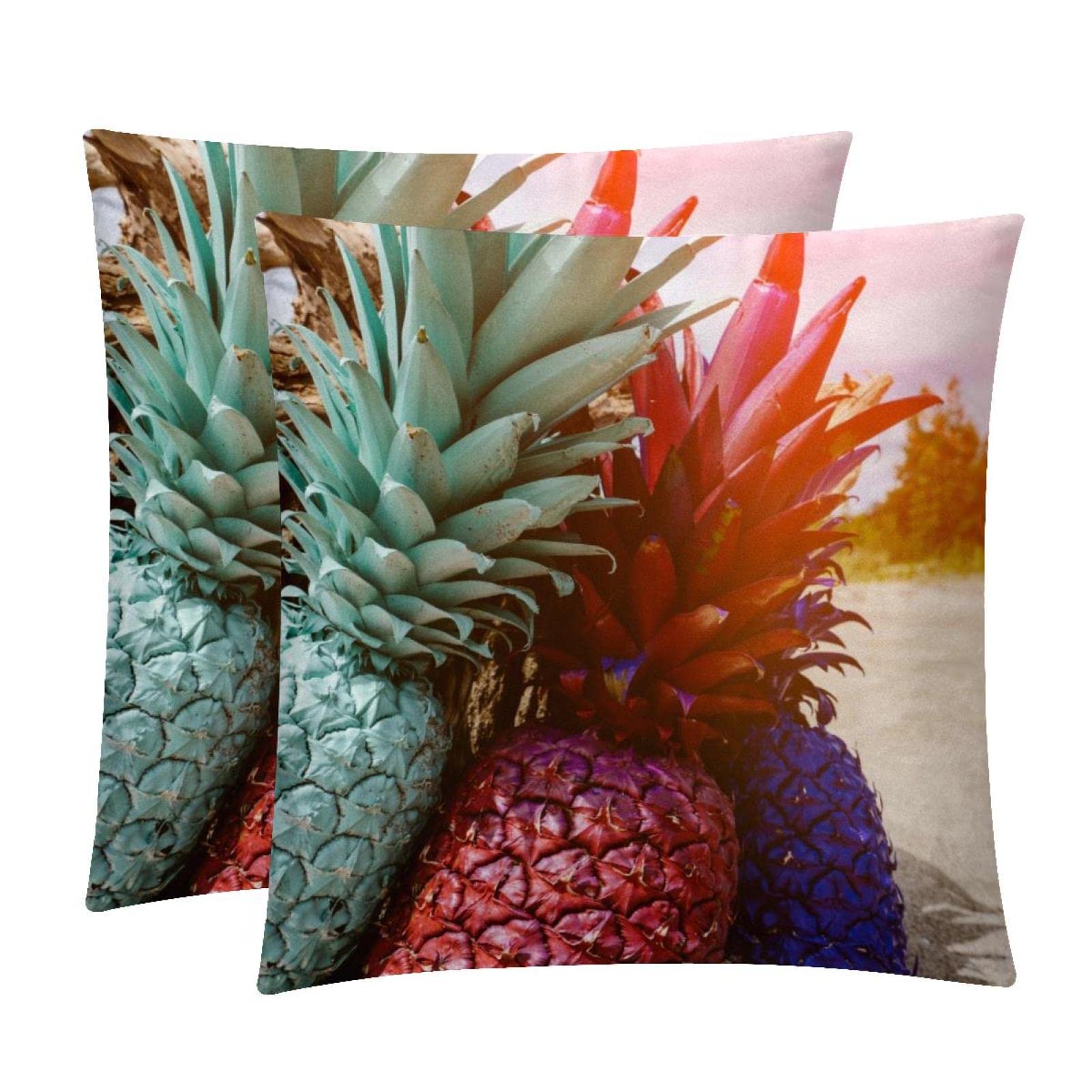 Housses de coussin lombaire lot de 2 style ferme et plage pour votre canapé de salon