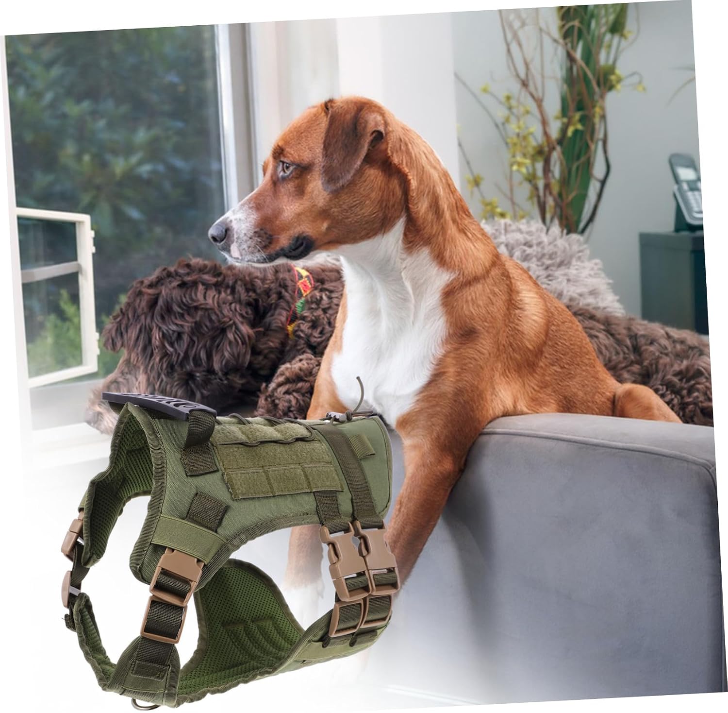 Totority Tactical Dog Vest for Large Medium Lightweight Harness with Strong Buckles for Outdoor Training and Hunting Activities