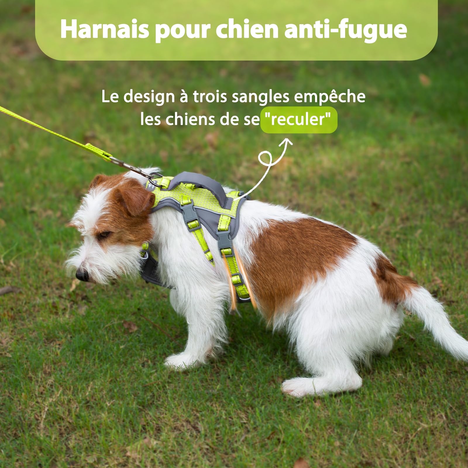 Huntboo Harnais Chien Petite Taille, Réfléchissant Harnais Anti Fugue Chien, Harnais Chien Anti Traction avec Poignée, Respirant, Harnais Réglable pour Chiens Moyens et Grands (Vert Vif,S)