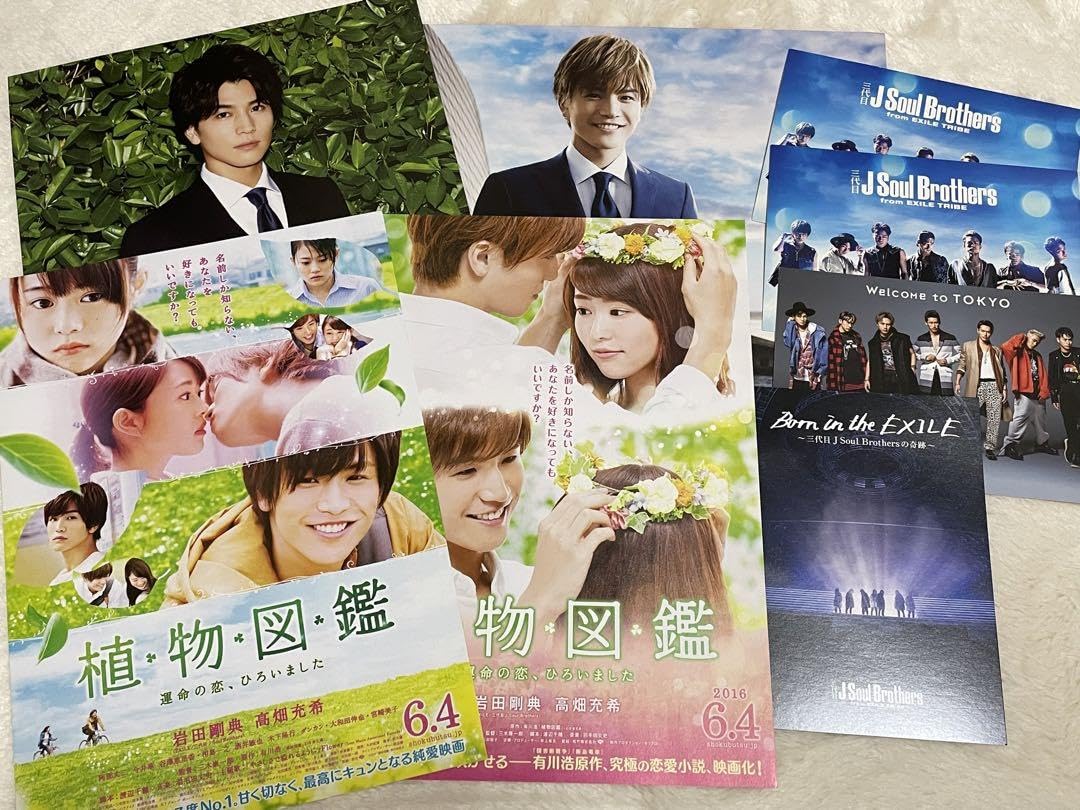 Amazon.co.jp: 岩田剛典 映画 フライヤーセット 植物図鑑 : おもちゃ