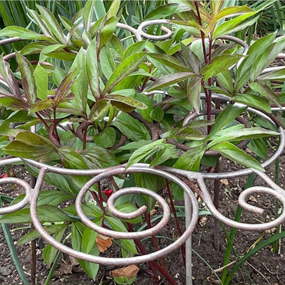 Metal Plant Support Ring, Garden Plant Support Stakes for Flowers Vegetables, Iron Plant Cage, Outdoor Plant Holder for Upright Growth Lawn Patio Garden Support Frame(L)