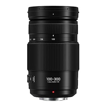 良品 Panasonic LUMIX G VARIO 100-300mm m.jpg