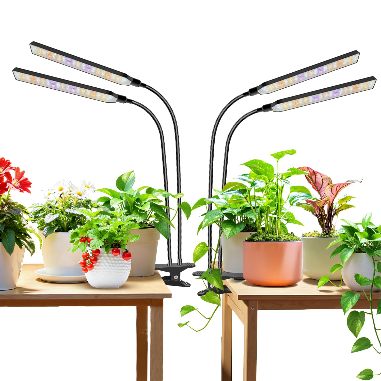 Aumtrly Pflanzenlampen Clip On 2er Pack, 228 LED Vollspektrum Grow Light für Pflanzen, 2 Kopf Schwarze Arm Grow Lamp mit Schwanenhals, 6/12/16 Stunden Timer, 5 Dimmstufen, 3 Lichtmodi