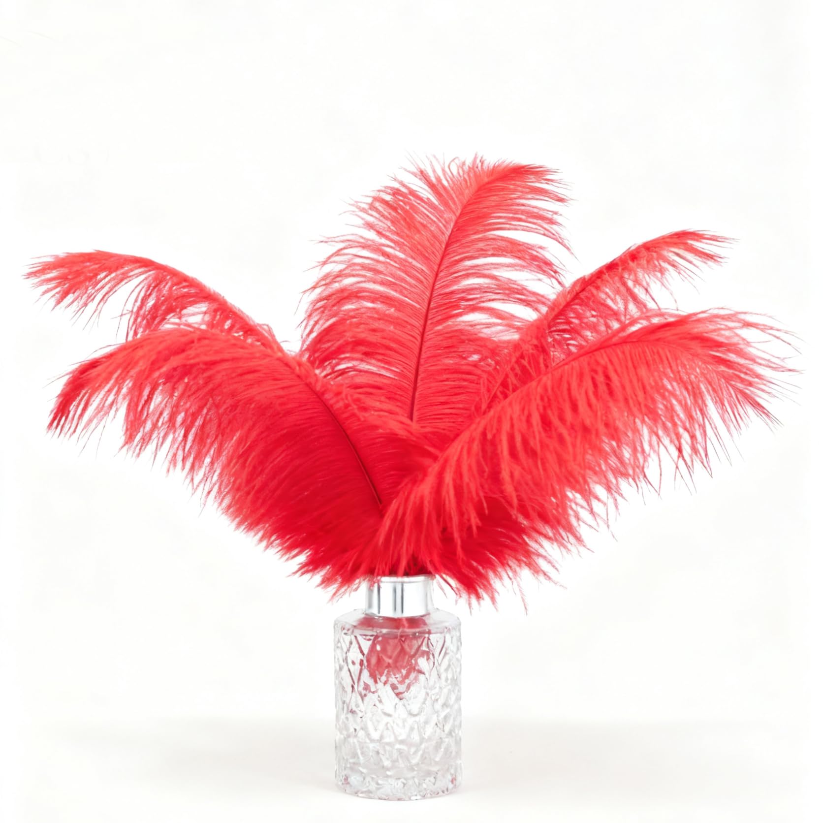 Natural Ostrich Feathers 10pcs 10-12 inches (25-30cm) Soft Fluffy Feathers for Crafting Perfect DIY for Vase Fillers Wedding Decor & Christmas Home Ornaments (Red)