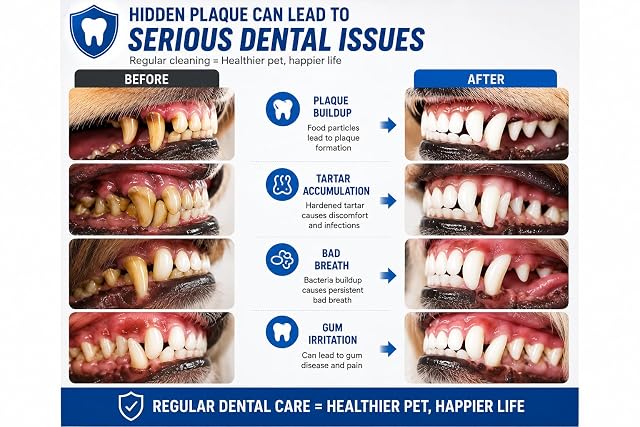 Foto 5 de 8 de AFTREN Herramientas dentales Rascador de sarro de doble cabeza Rascador de dientes dental Removedor de placa…