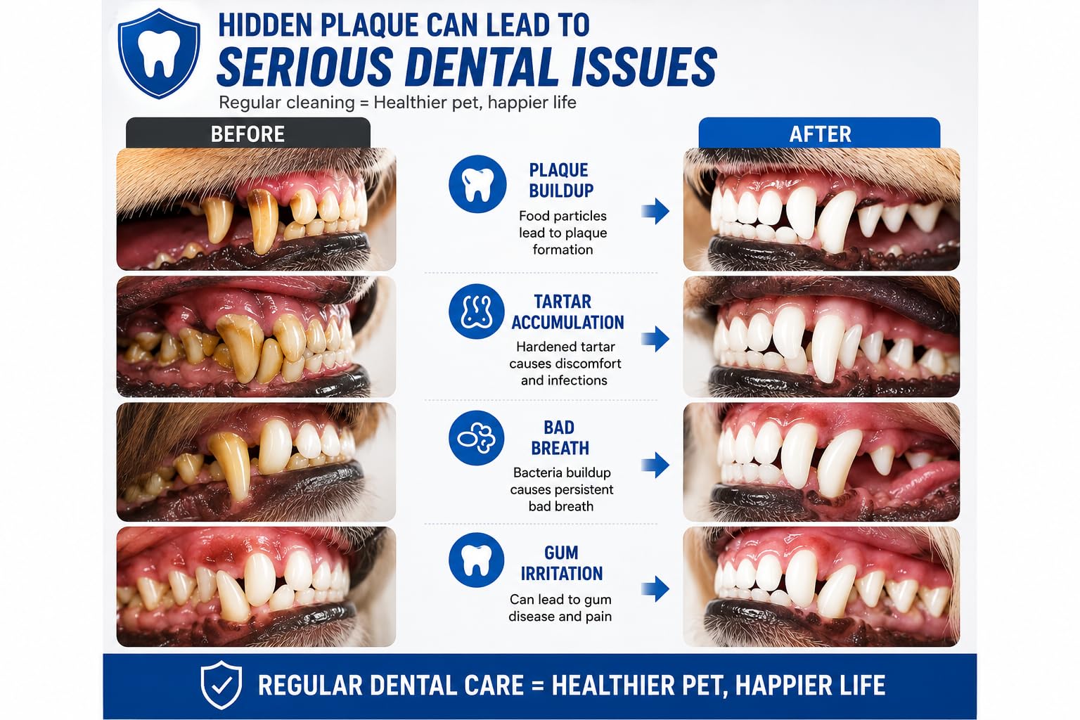 Herramientas dentales Rascador de sarro de doble cabeza Rascador de dientes dental Removedor de placa (perfecto para gatos y perros) Herramienta de limpieza de dientes de acero inoxidable
