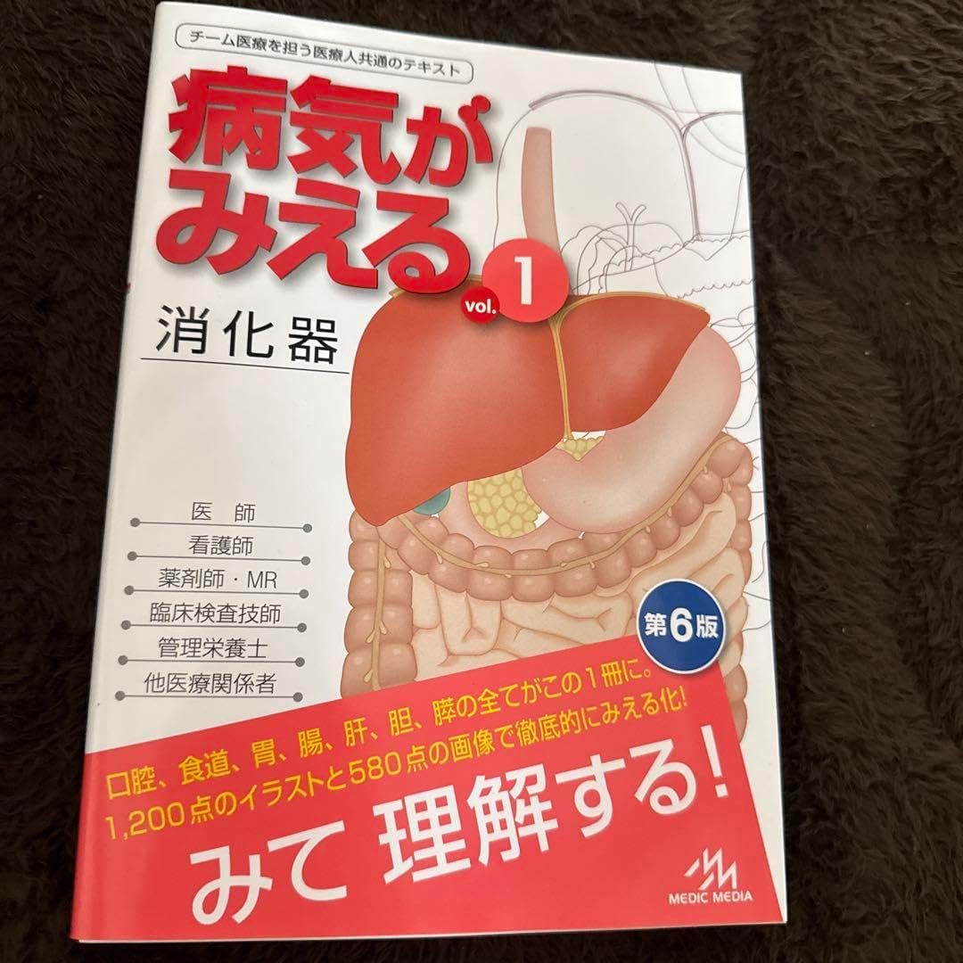 【墨研】手漉画仙紙◆桂林堂特製「千峰」全紙 92張◆僅かに使用◆漢字向和紙 荒漉 墨研】手漉画仙紙◇桂林堂特製「千峰」全紙 92張◇僅か