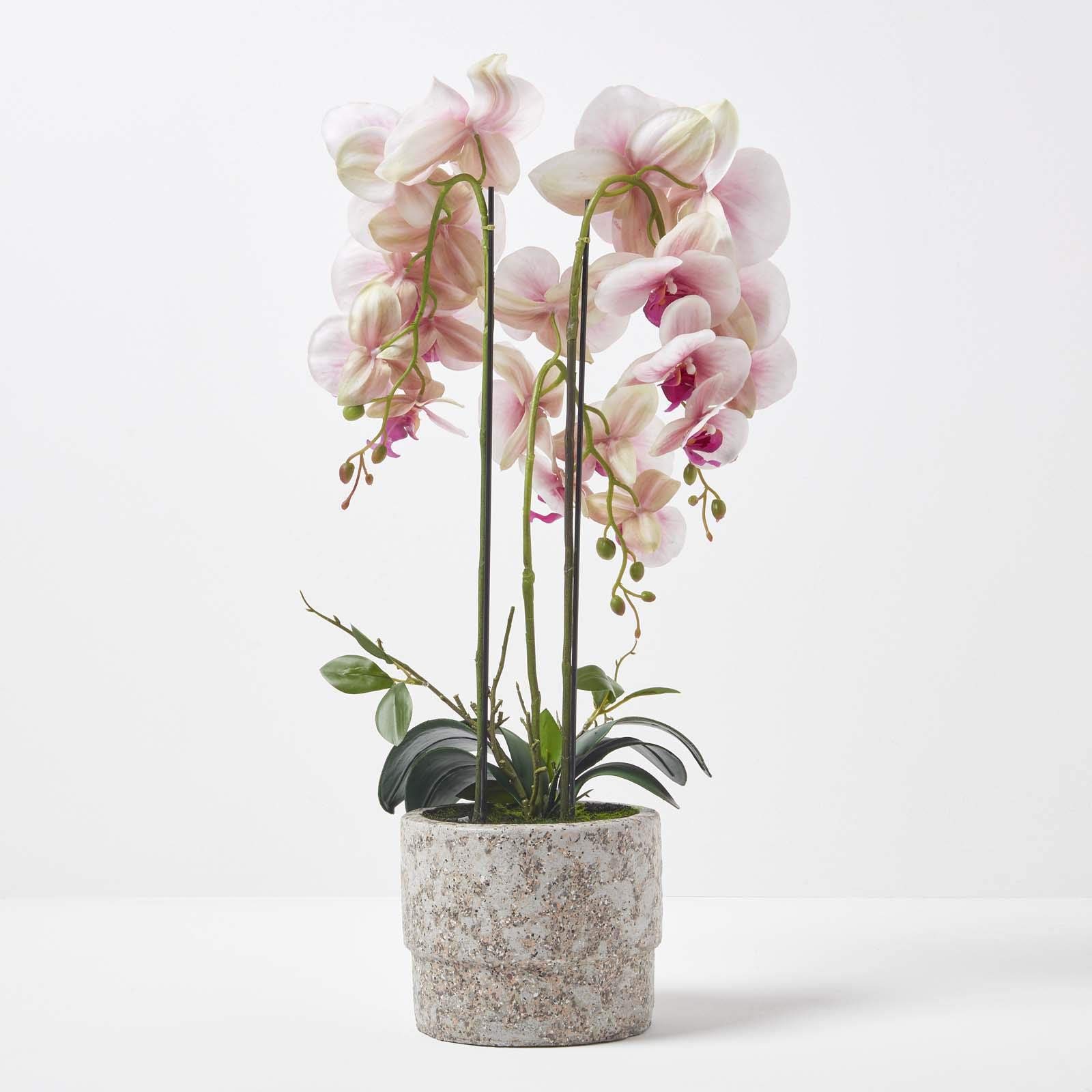 HOMESCAPES Orchidée Artificielle Rose en Pot en Ciment Naturel, Fleurs artificielles déco 64 cm