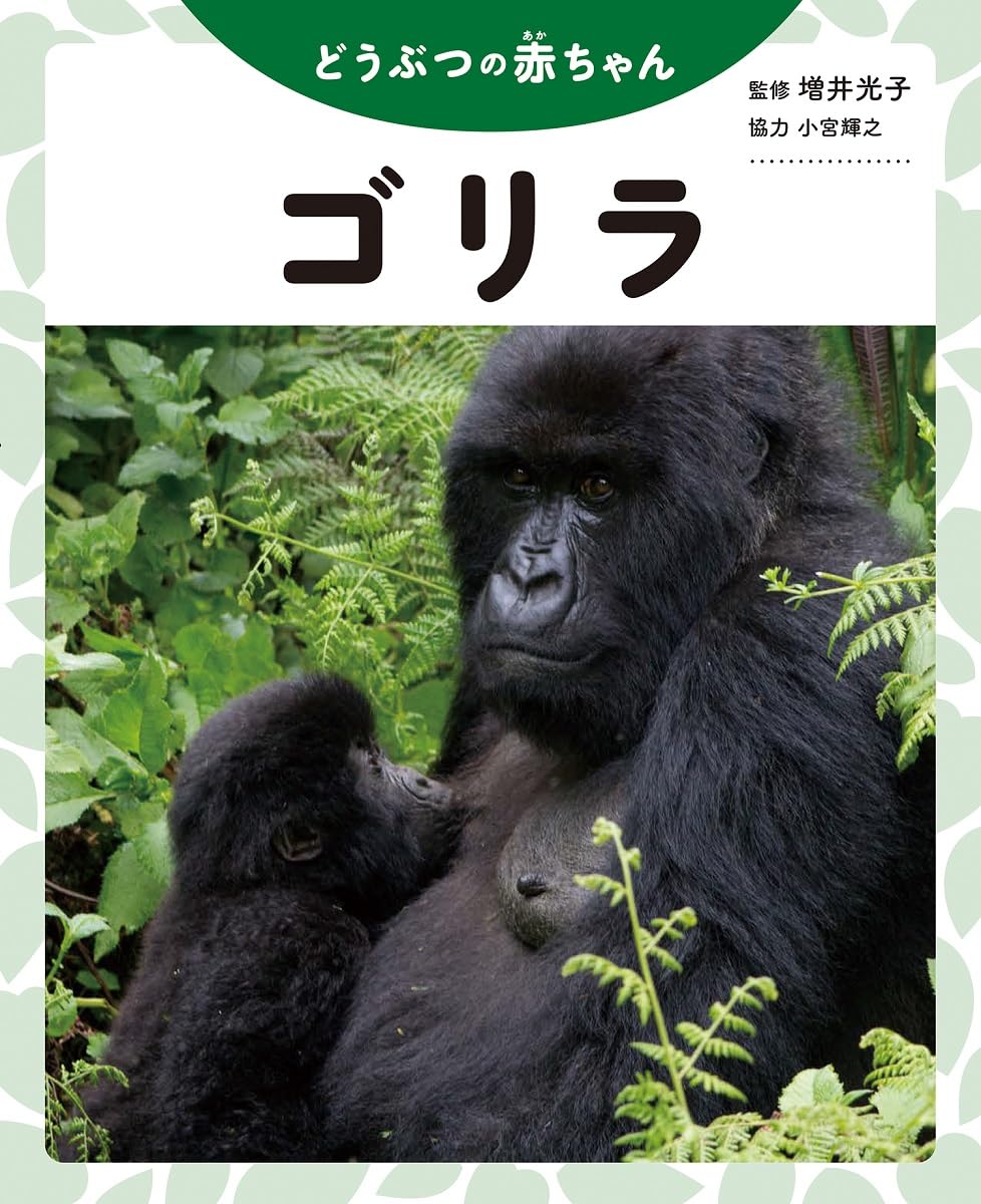 Gorilla (Baby Animals)