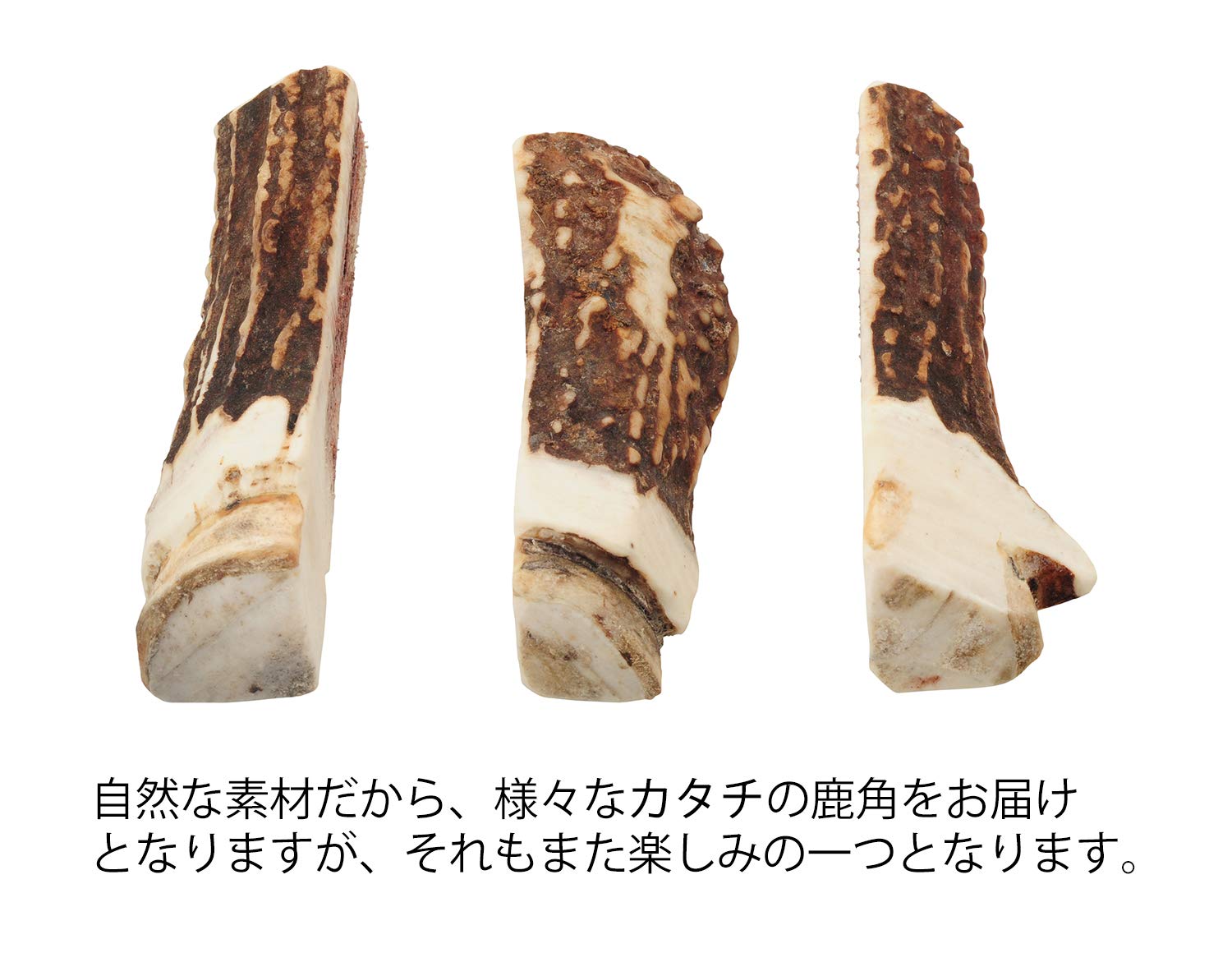 鹿の角 41本 鹿の角 中型 犬 用 鹿角さん 四つ割り1本 天然 無添加 北海道産 蝦夷