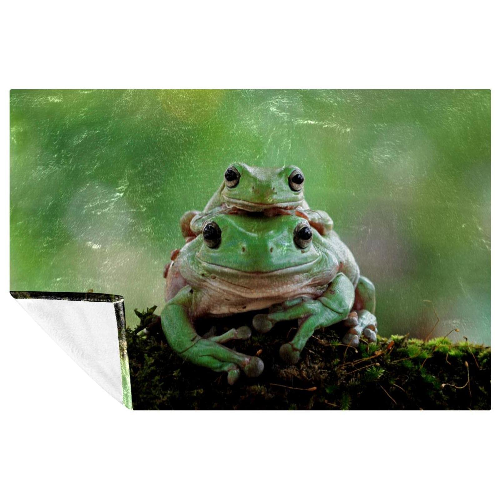 Plaid motif grenouille pour pique-nique et camping en plein air