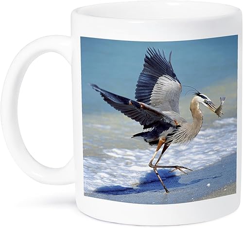 3dRose Florida, Captiva Island Blue Heron Bird-Us10 Bja0183-Jaynes Gallery - Taza de cerámica, 11 onzas, color blanco