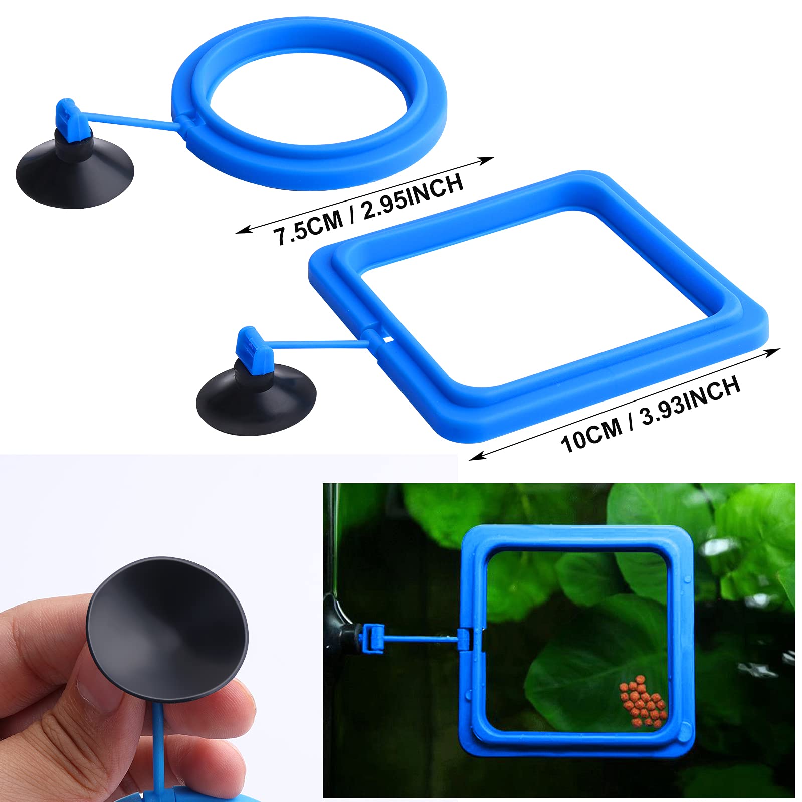 Molain Fisch Futterring, 2 Stück, Fisch Futterspender für Aquarium, Fischschildkröte, Zubehör für Guppy, Bettas, Goldfisch, Schildkröte (Blau)