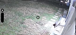 Review Image by RickB RickB