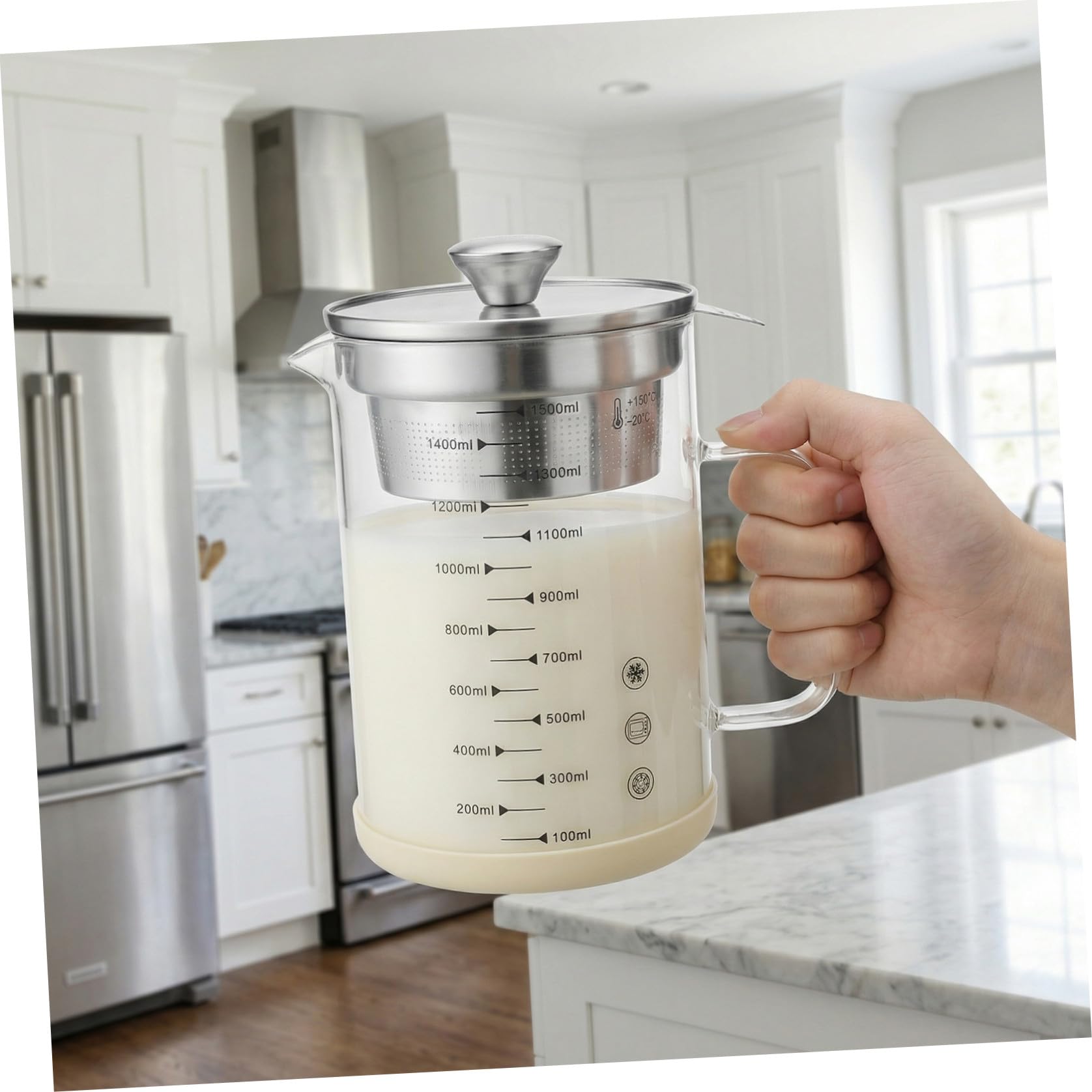 Homoyoyo Caraffa Filtrante in Vetro e Acciaio Inox per Latte di Soia e Succo Filtro Rete Fine da Cucina