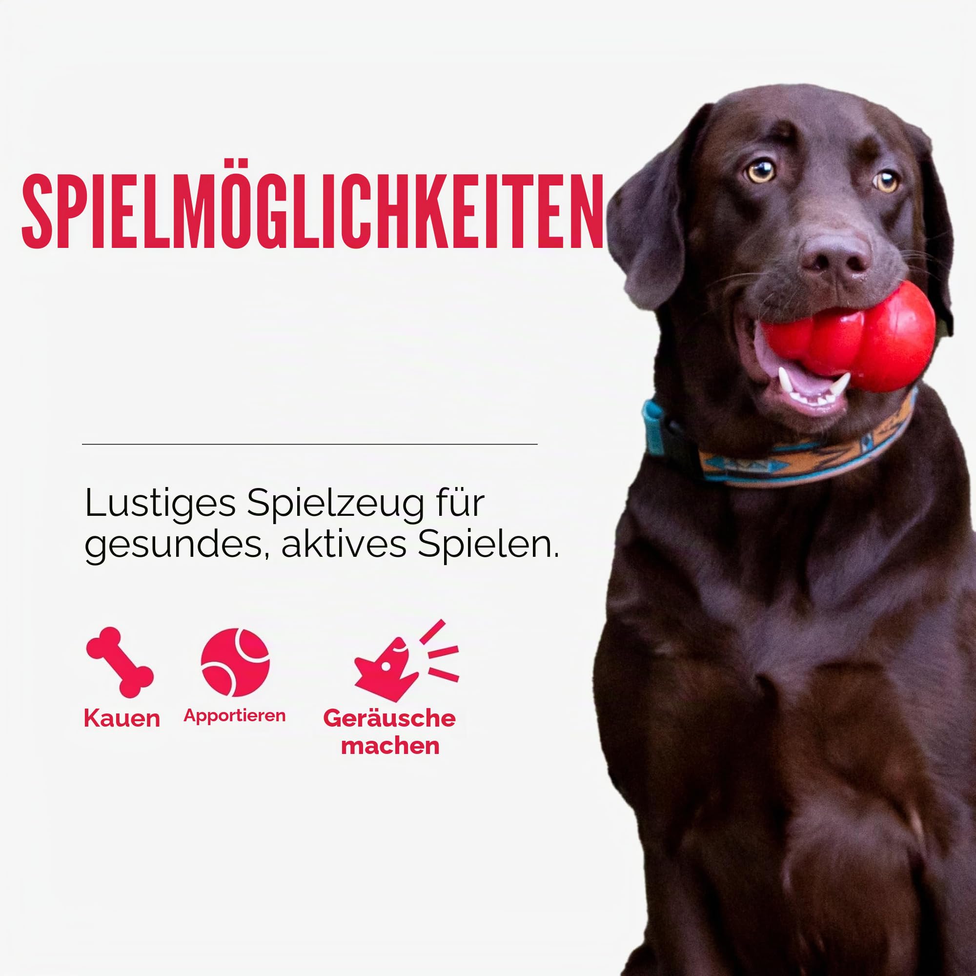 KONG – Squeakair Balls – Premium-Hundespielzeug, Quietschende Tennisbälle, Zahnschonend (3er–Pack) – Für Mittelgroße Hunde
