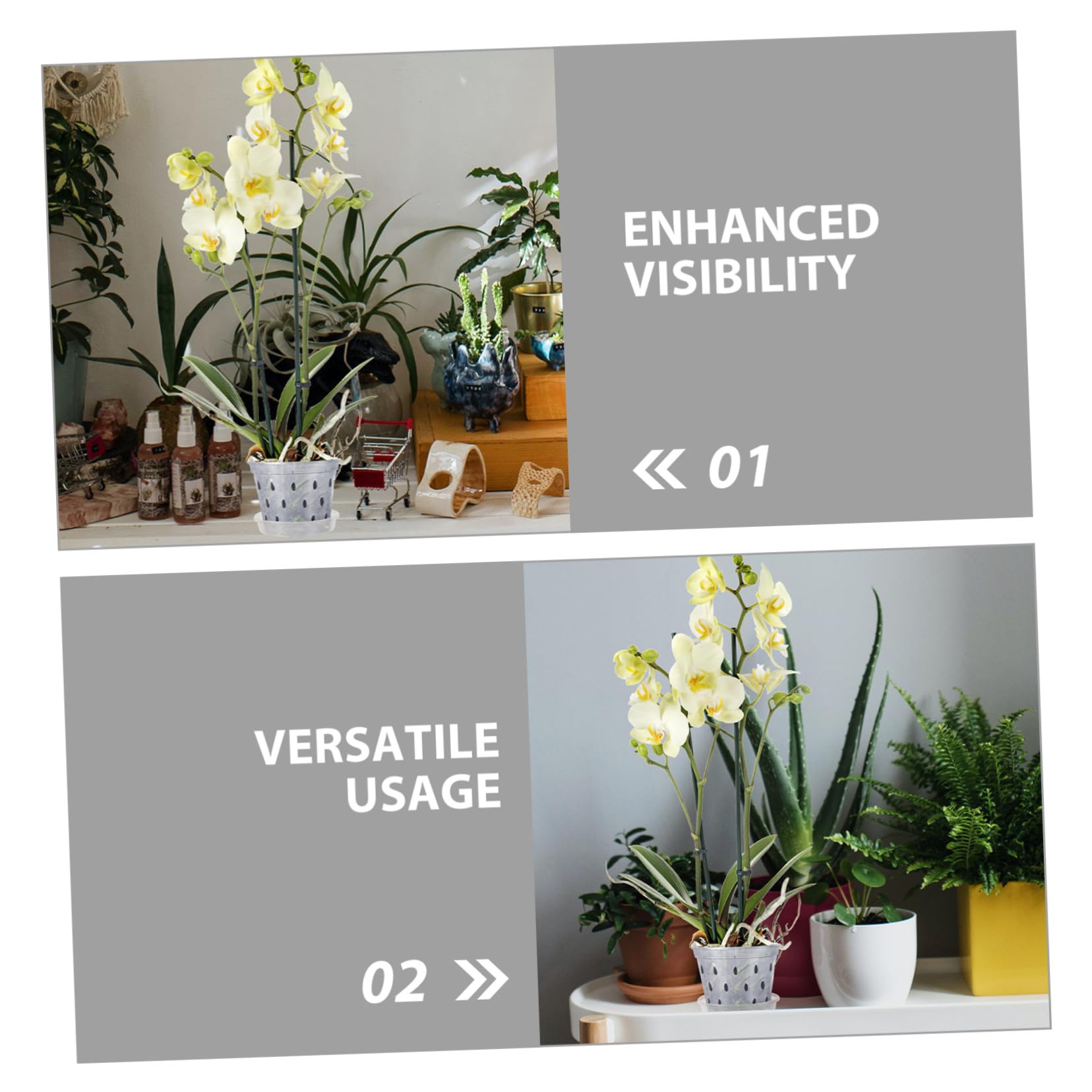 BESTonZON 9 Stück Teiliges Transparentes Orchideentopf Drainagelöchern und Untersetzern Leichte Robuste Pflanztöpfe für Schmetterlingsorchideen und Vielseitige