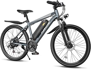Funhang Electric Bike
