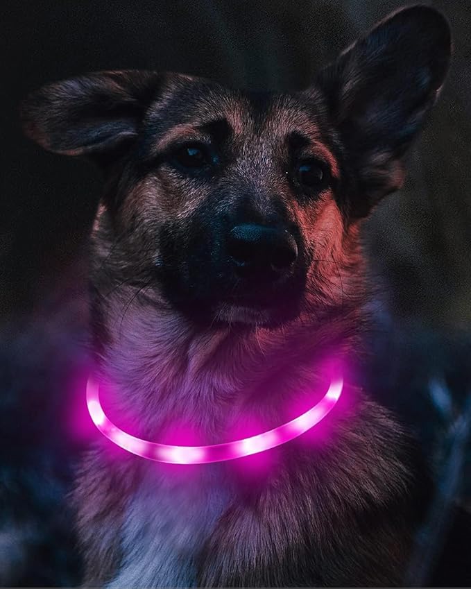 Collar LED Joytale Recargable para Perros, Impermeable, Ajustable, Morado miniatura 3