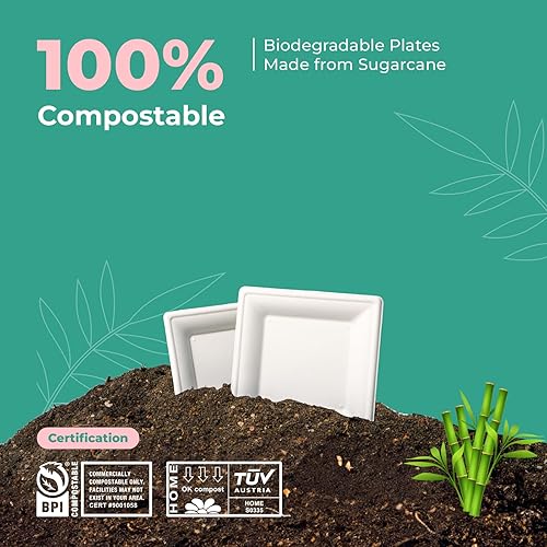 Miniatura 3 de Fit Meal Prep Paquete de 50 platos de papel compostables, plato de aperitivo de 6 pulgadas, platos de postre cuadrados biodegradables, plato de caña