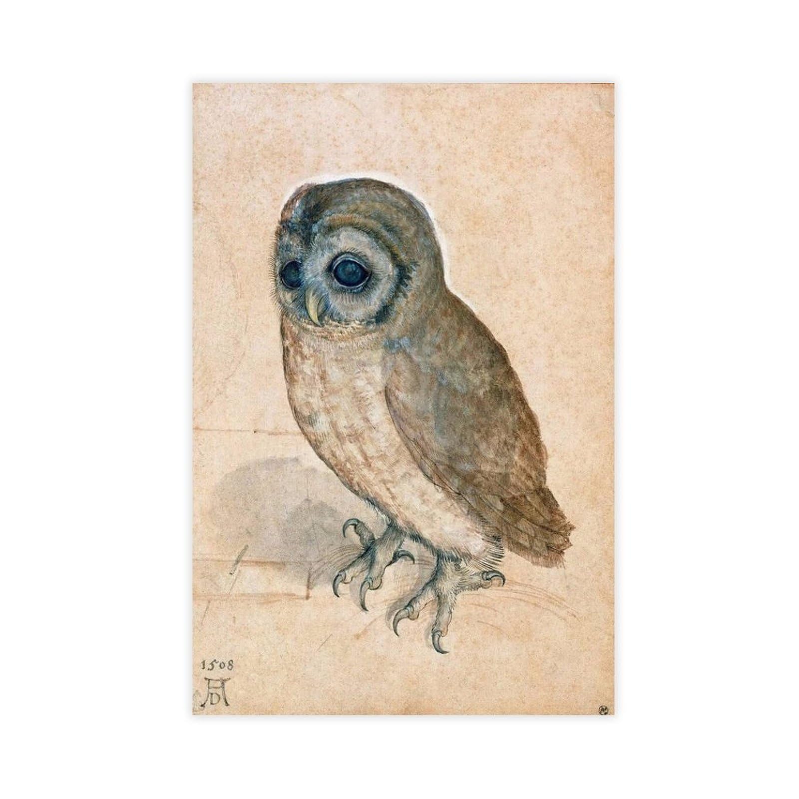 Piank Unframe The Little Owl Albrecht Durer Poster Print Poster Bedroom Canvas Decor Print Wall Art Office Room Aesthetic Decor Gift 12X18inch(30X45cm)