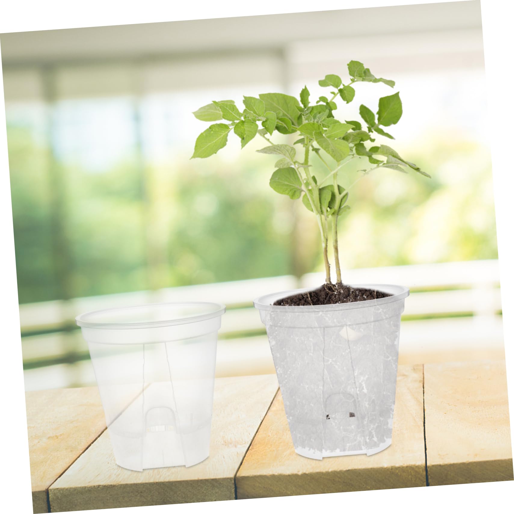 TOYANDONA 6 Pièces Pots de Fleurs Transparent Plastique Drainage pour Plantes Intérieur Pots de Jardinage Idéaux pour Plantes Vertes