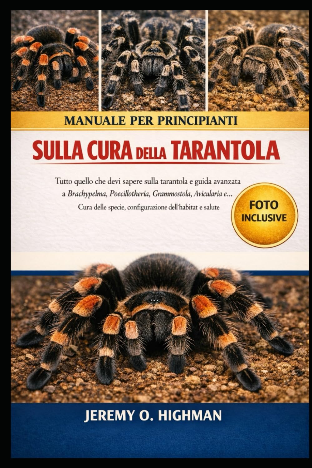 MANUALE PER PRINCIPIANTI SULLA CURA DELLA TARANTOLA: Tutto quello che devi sapere sulla tarantola e guida avanzata a Brachypelma, Poecilotheria, ... specie, configurazione dell'habitat e salute