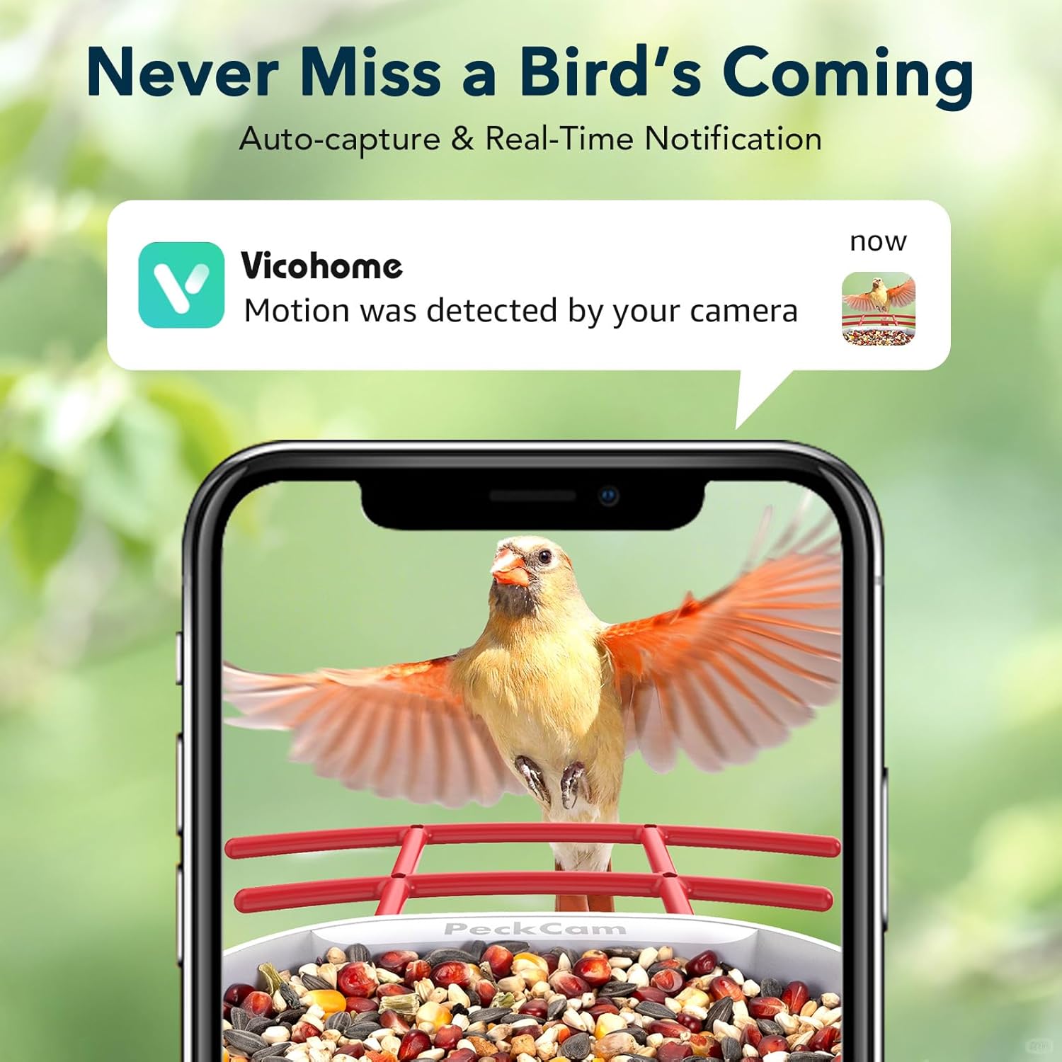 Smart Bird Feeder with Camera 2K Live Real-Time Alert AI Identify with 32G Card DIY Attachments Camera Bird Feeder Solar Powered Wireless Outdoor Birdwatching Gift for Birds Lover, Red - Image 3