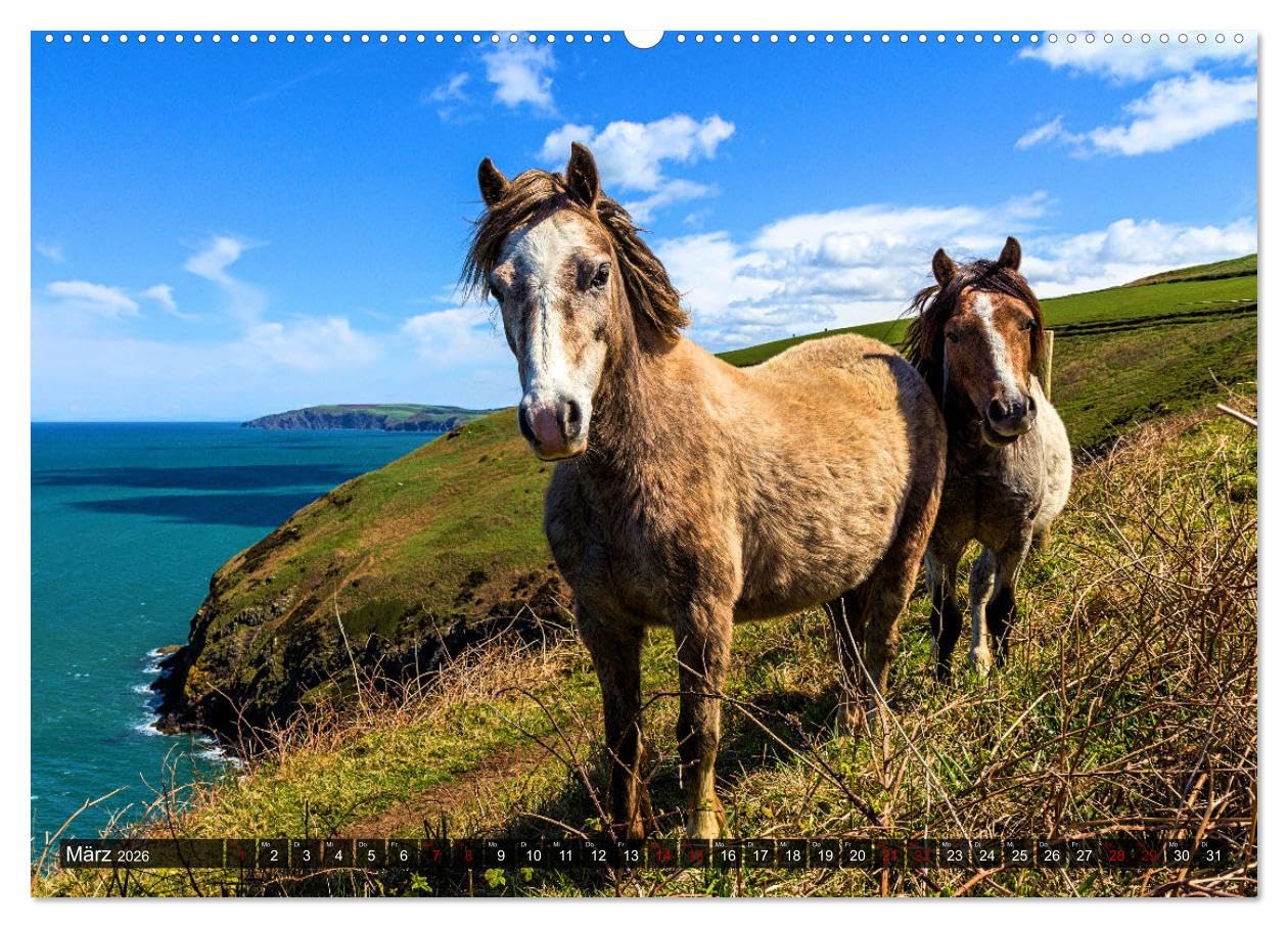 Pferde - wild und ungezähmt (Wandkalender 2026 DIN A2 quer), CALVENDO Monatskalender: Traumhafte Bilder frei lebender Pferderassen in ursprünglichen Naturlandschaften (CALVENDO Tiere)