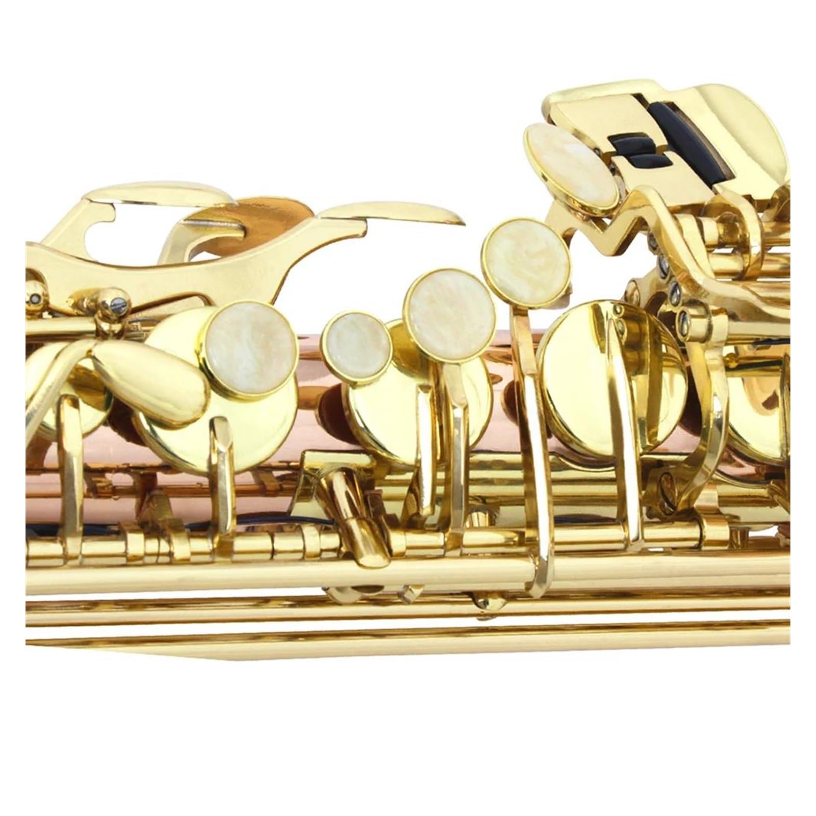 Sassofono Professionale Sassofono contralto in Mib Materiale in bronzo fosforoso Sax in Mi bemolle Strumento a fiato Sassofono con custodia Guanti Ance Cinghia
