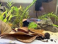 Review Image by Kierstynn Bailey Kierstynn Bailey