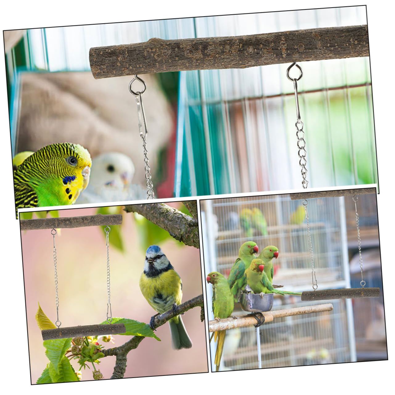 BESPORTBLE 5ensembles Perchoir pour Oiseaux Balancelle pour Perruches Et Perroquets Jouet Naturel Activité Support De pour Cage à Oiseaux Accessoire De pour Petits