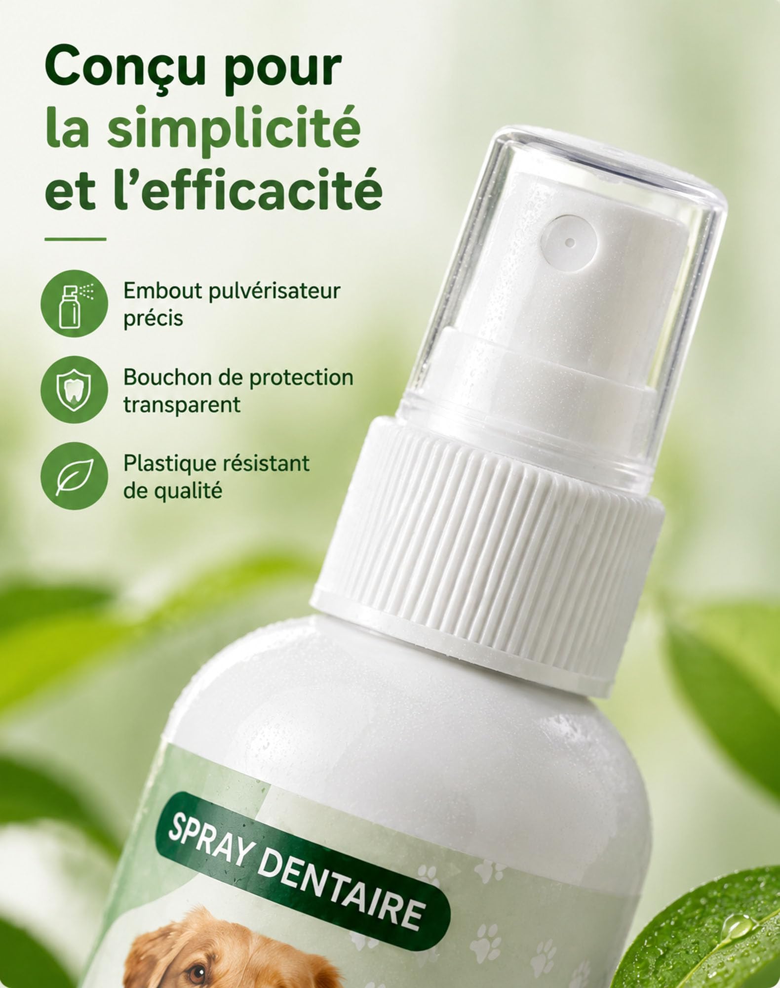 The Everly Spray Dentaire Chien, Antitartre Sans Brossage (300ML)