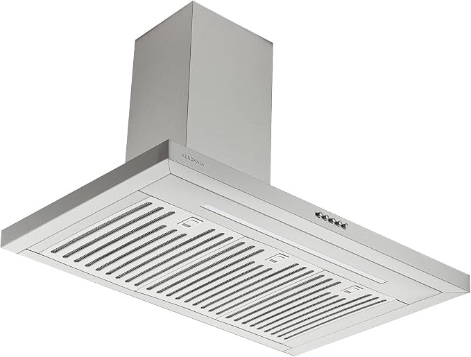 71fC5SSvYyL. AC SX679