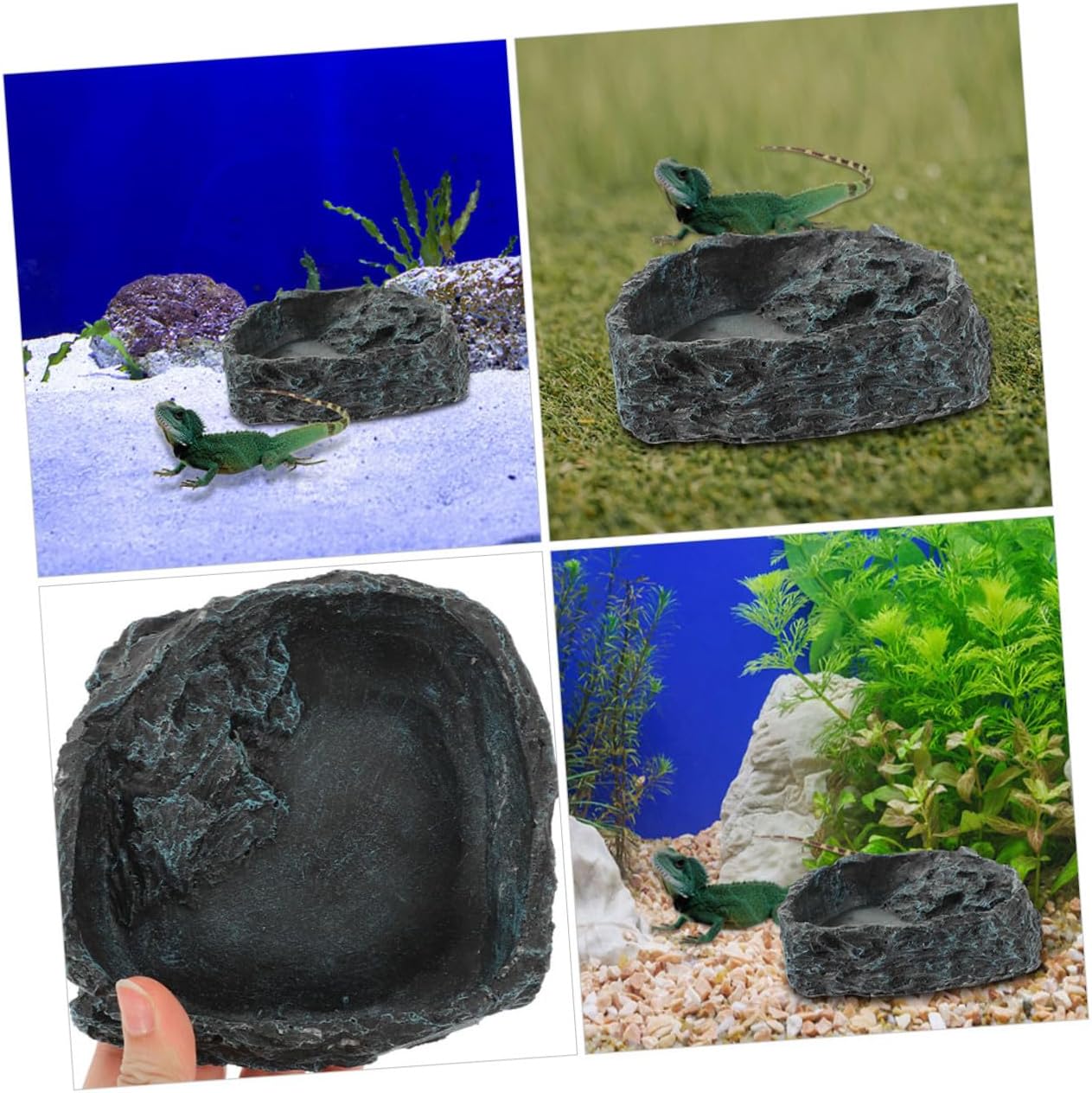 ibasenice Reptile Water Bowl and Food Dish Large Terrarium Feeding Tray Sturdy Feeding Bowl for Bearded Dragon Tortoise Gecko Pet Supplies