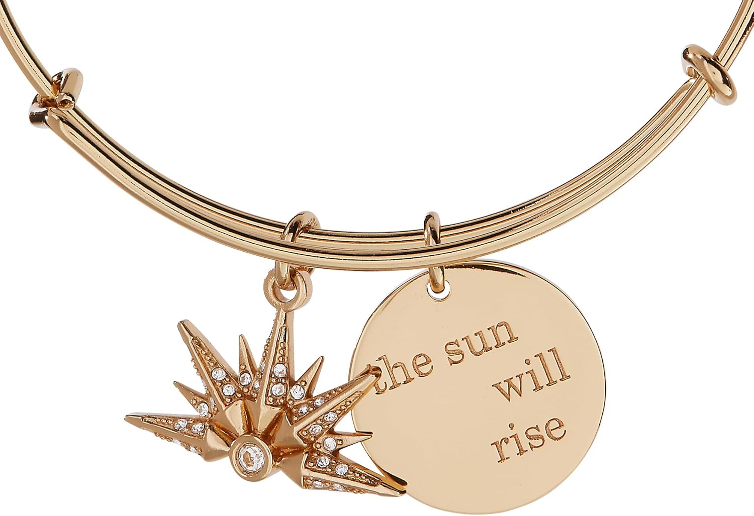 Alex and Ani “The Sun Will Rise” Duo Charm Pendant Necklace