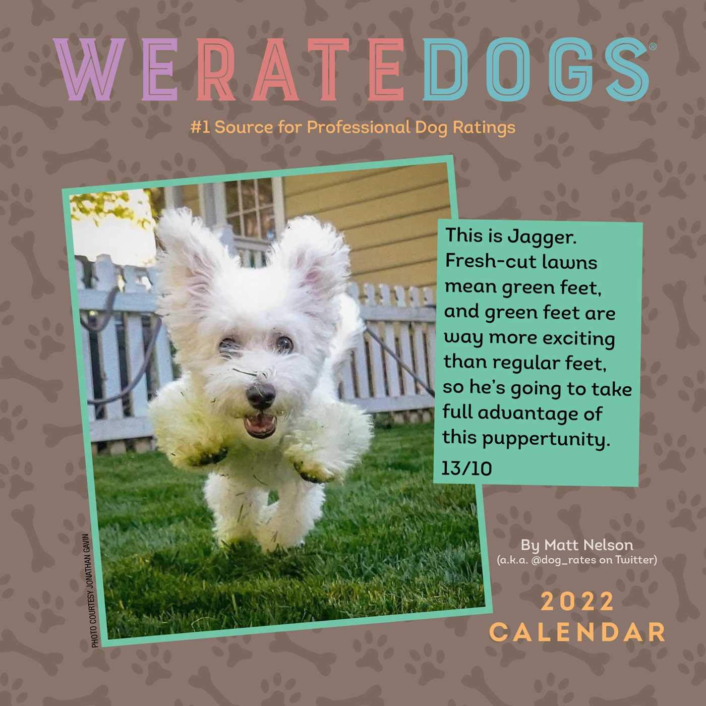 WeRateDogs 2022 Mini Wall Calendar