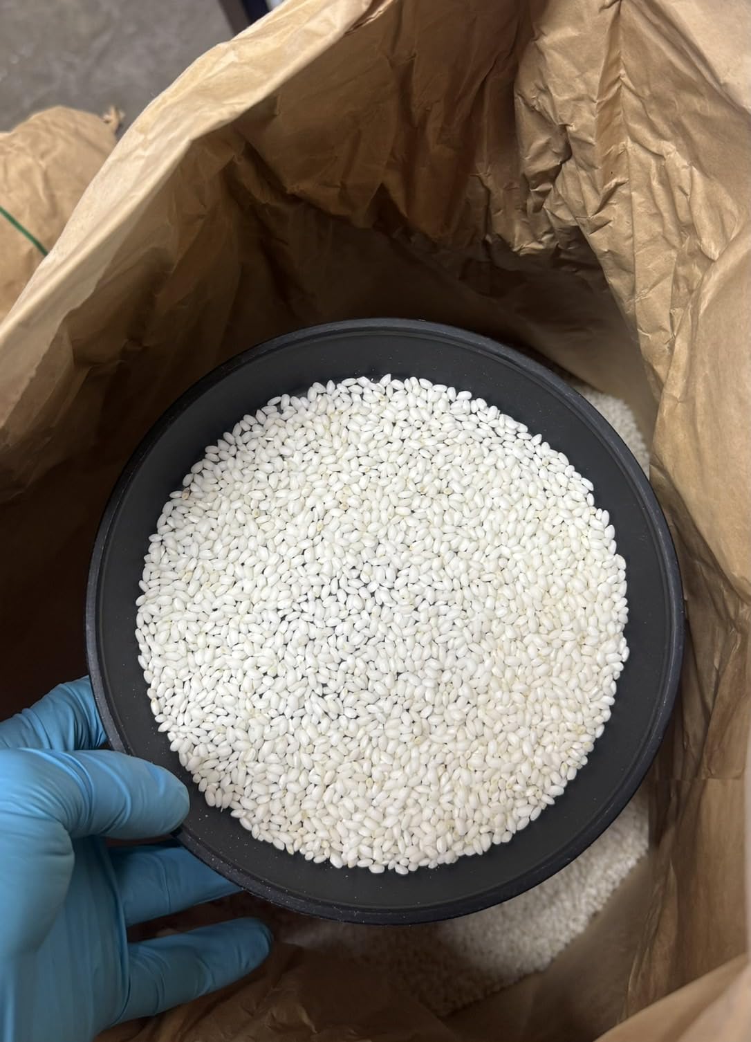 新米　お米　もち米玄米30ｋｇ　精米サービス　ふわふわお餅のわたぼうし令和6年産 Amazon.co.jp: 令和7年産 もち米玄米30kg 1等米 産地 山形県 ふわふわ