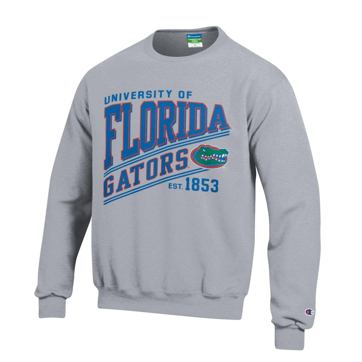 Champion Youth Boys' NCAA Fleece Crew, Gray, Small