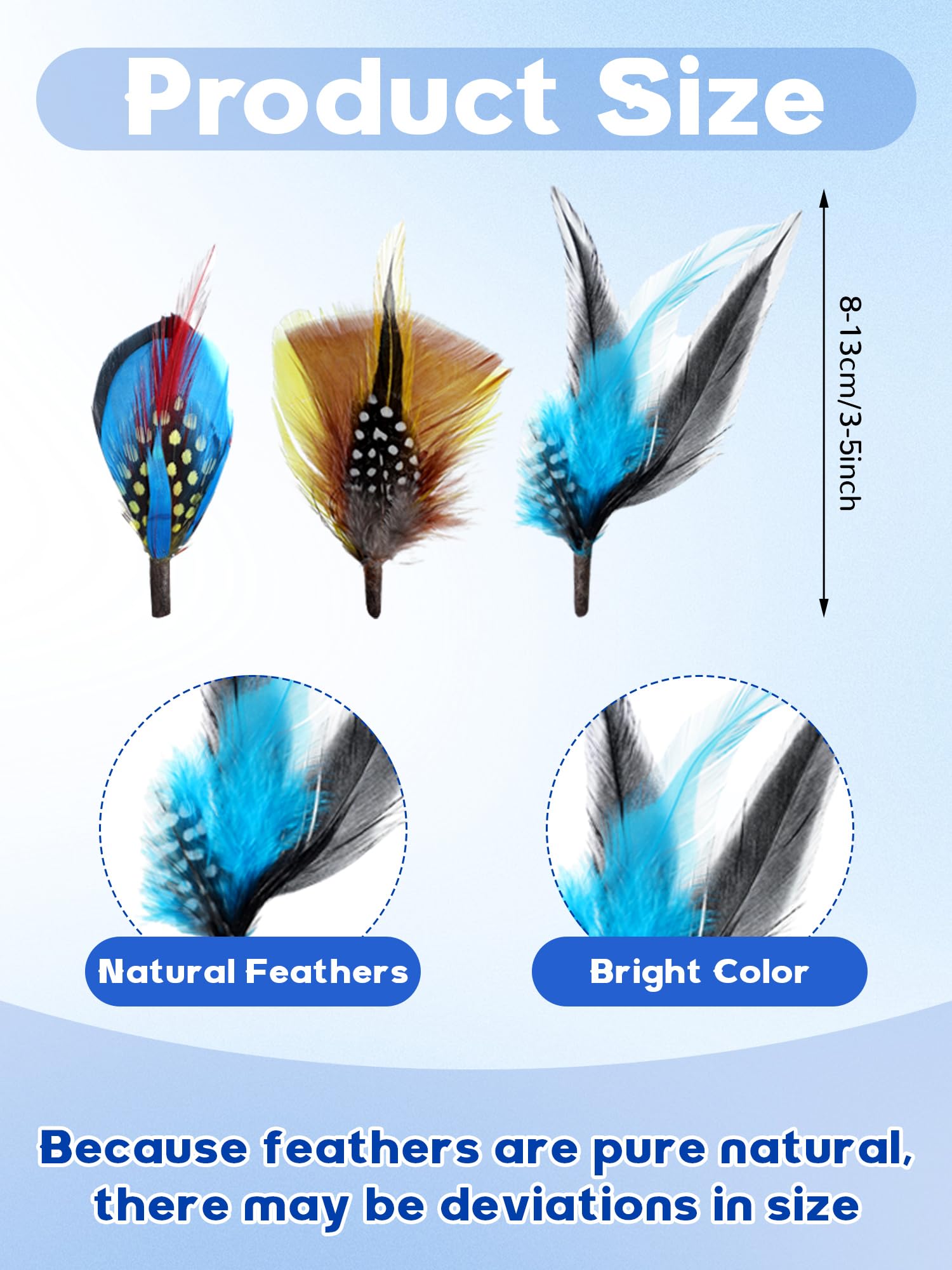 Breathffy 24 Pcs Hat Bands Decorative Feathers for Cowboy Panama Western Costume Headwear Women Men(Classic)