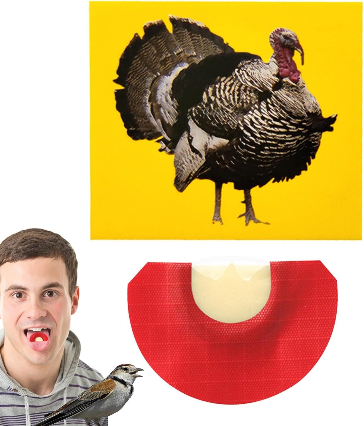 Bird - Bird Caller | Turkey Bird | Caller Tongue | Bird Toys | Creation Props | Bird Whistles To Attract Birds | Tweeting Noisemaker | Novelty Toys & Amusement